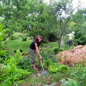 event-images - FOREST-GARDENING-PRACTICAL-300sq
