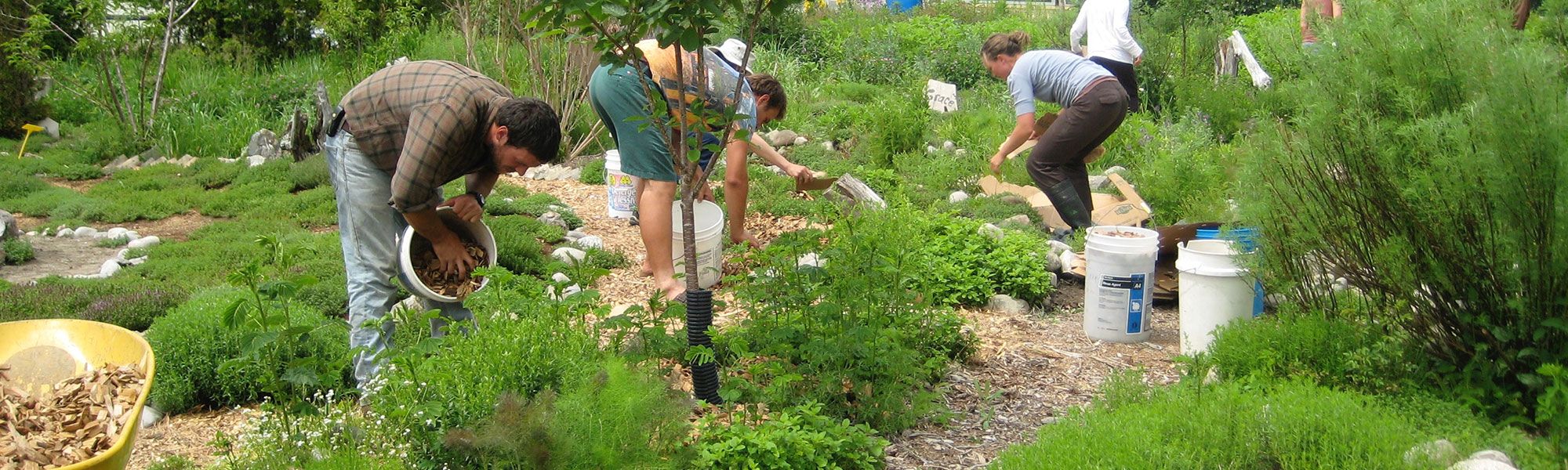 Mulching for Permaculture